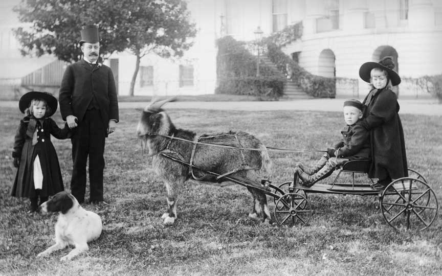 Photo of Baby McKee being pulled in a cart by the Harrison's family pet goat, old whiskers. Two other children, a dog, and president harrison stand nearby and pose for the photo.